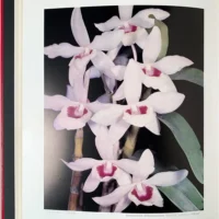 Orchid Flowers – 2 Volume Set