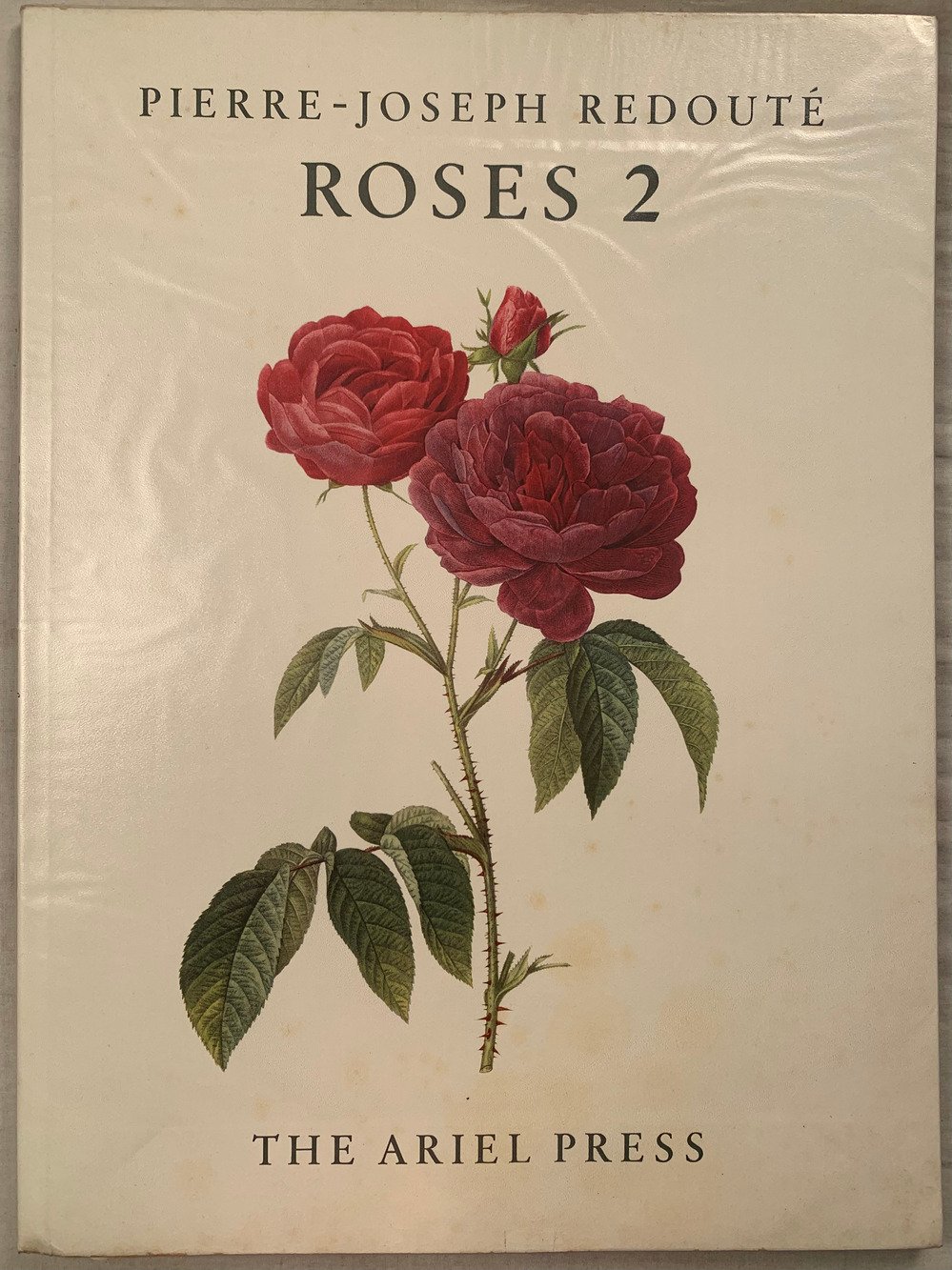 Roses 2