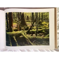 Landscapes