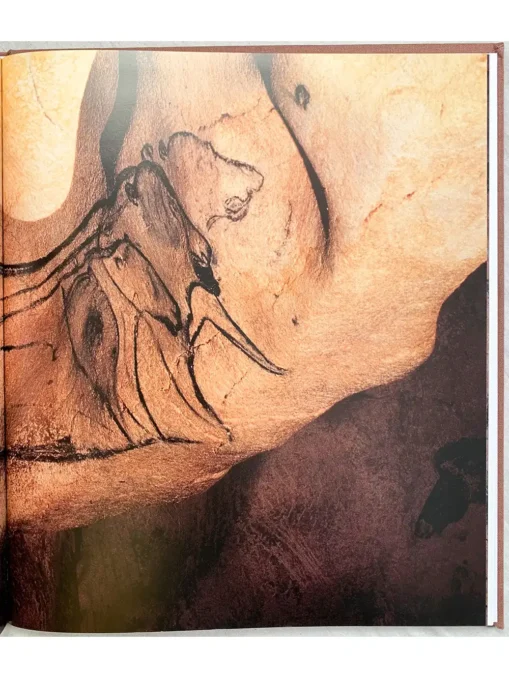 Chauvet Cave