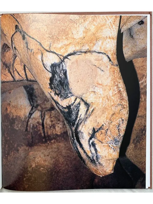 Chauvet Cave