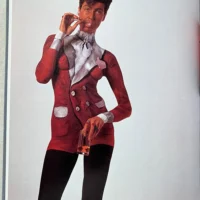 Veruschika Trans-figurations - Image 10