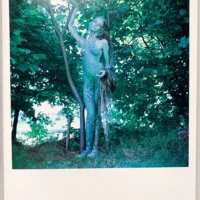 Veruschika Trans-figurations - Image 8