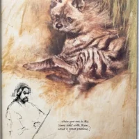 The Ark