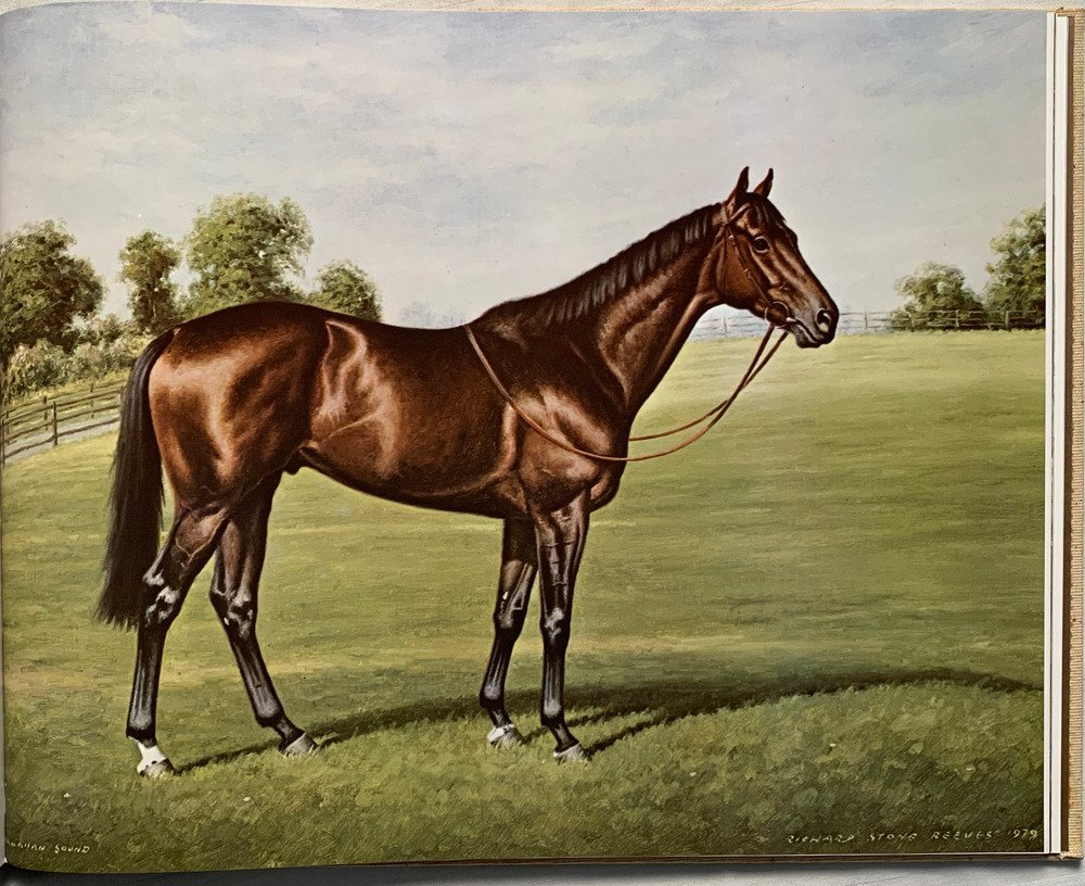 Decade Of Champions The Greatest Years In The History Of Thoroughbred Racing, 1970-1980