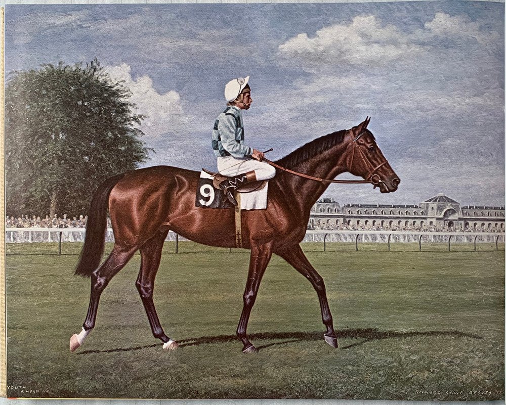 Decade Of Champions The Greatest Years In The History Of Thoroughbred Racing, 1970-1980