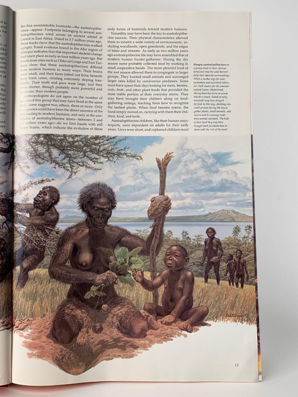 Peoples and Places Of The Past: The National Geographic Illustrated Cultural Atlas Of The Ancient World
