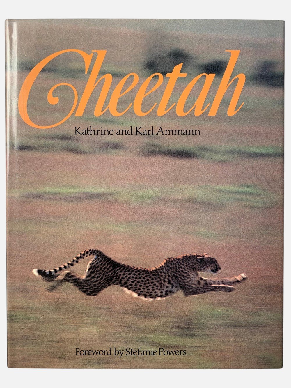 Cheetah