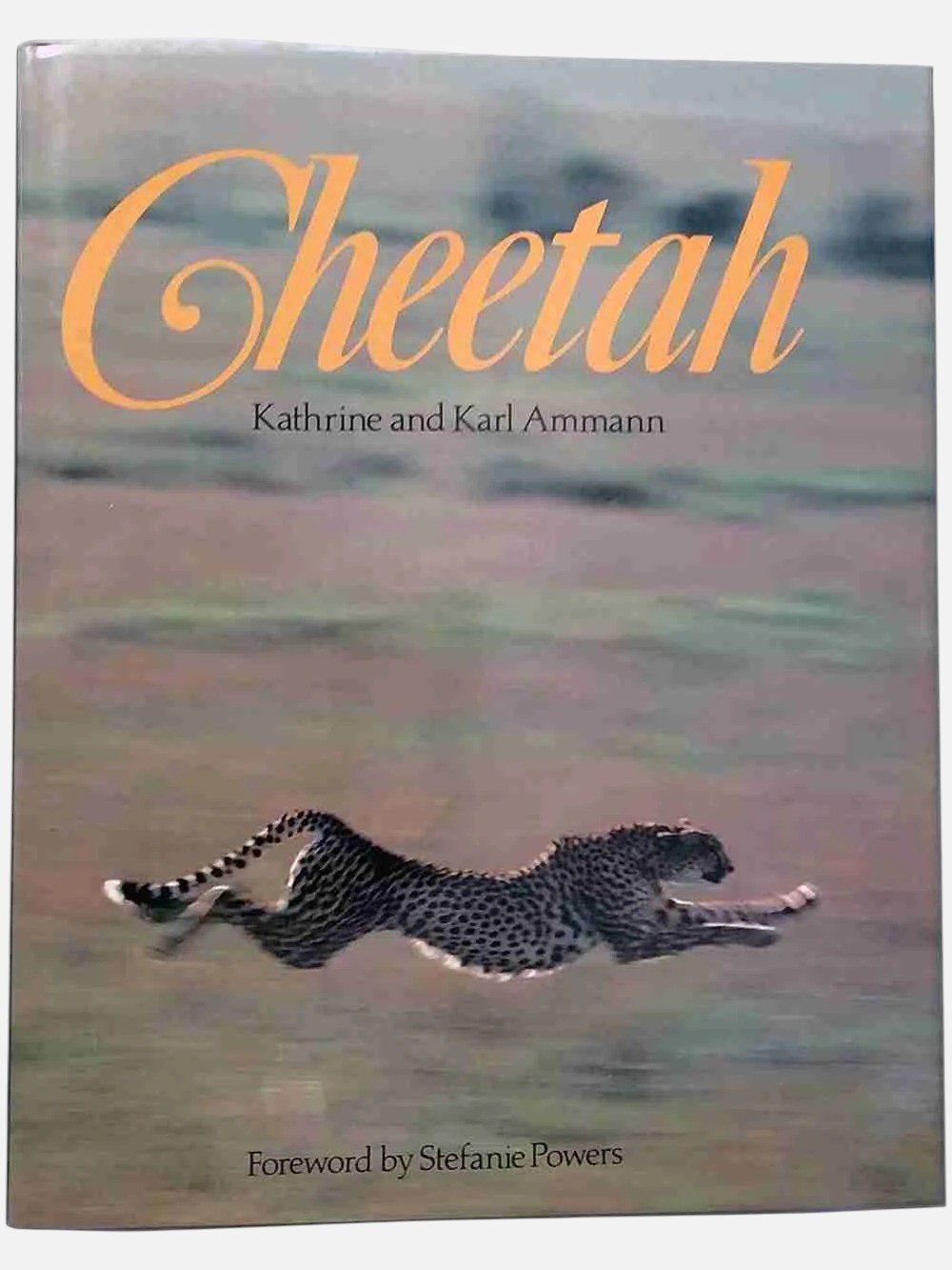 Cheetah