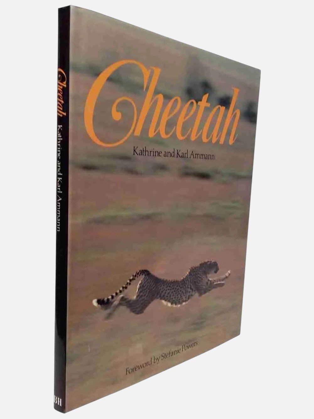 Cheetah