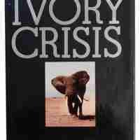 Ivory Crisis - Image 2