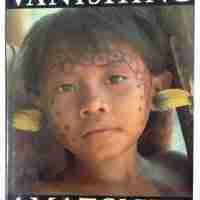 Vanishing Amazon