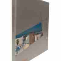 Buy Los Angeles Architecture The Contemporary Condition