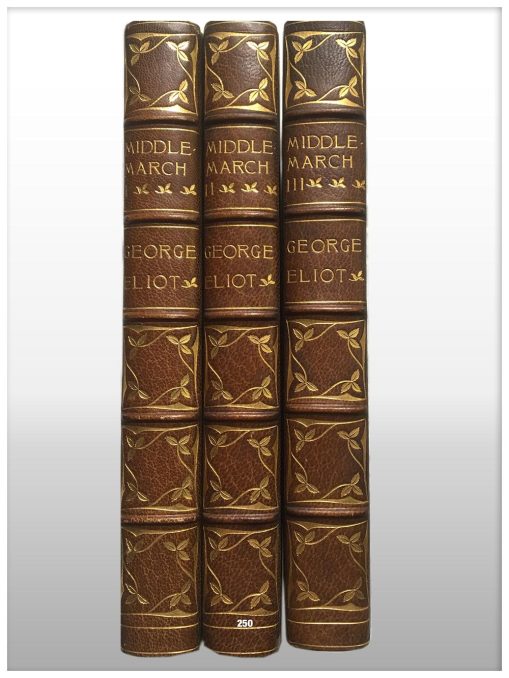 The Works Of George Eliot 21 Volume Set