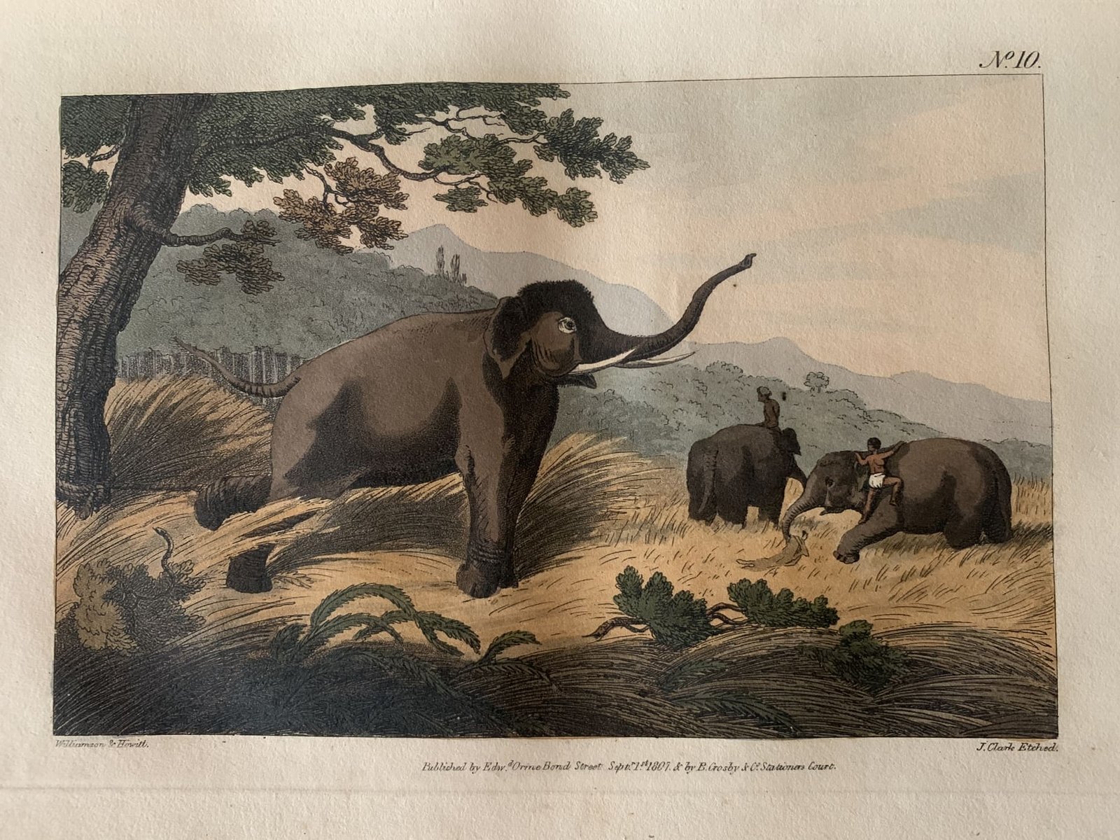 Wild Sports of the East ( A reproduction of the original _ Oriental Field Sports