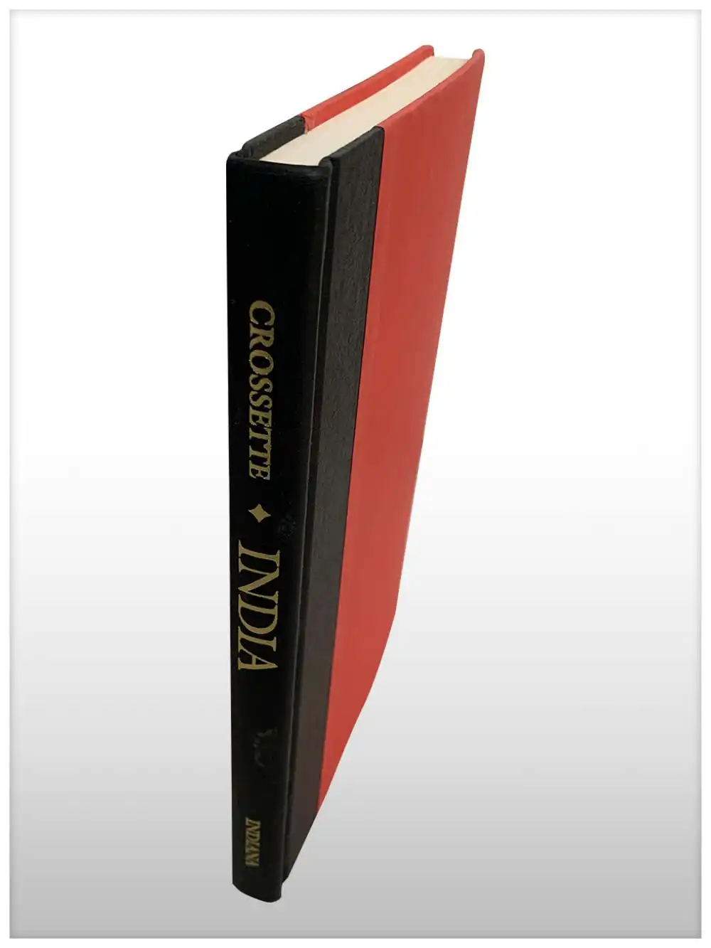 India Facing The Twenty-First Century-2584