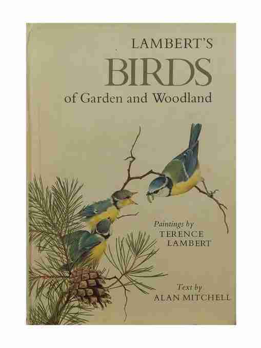 Lambert’s Birds Of Garden And Woodland