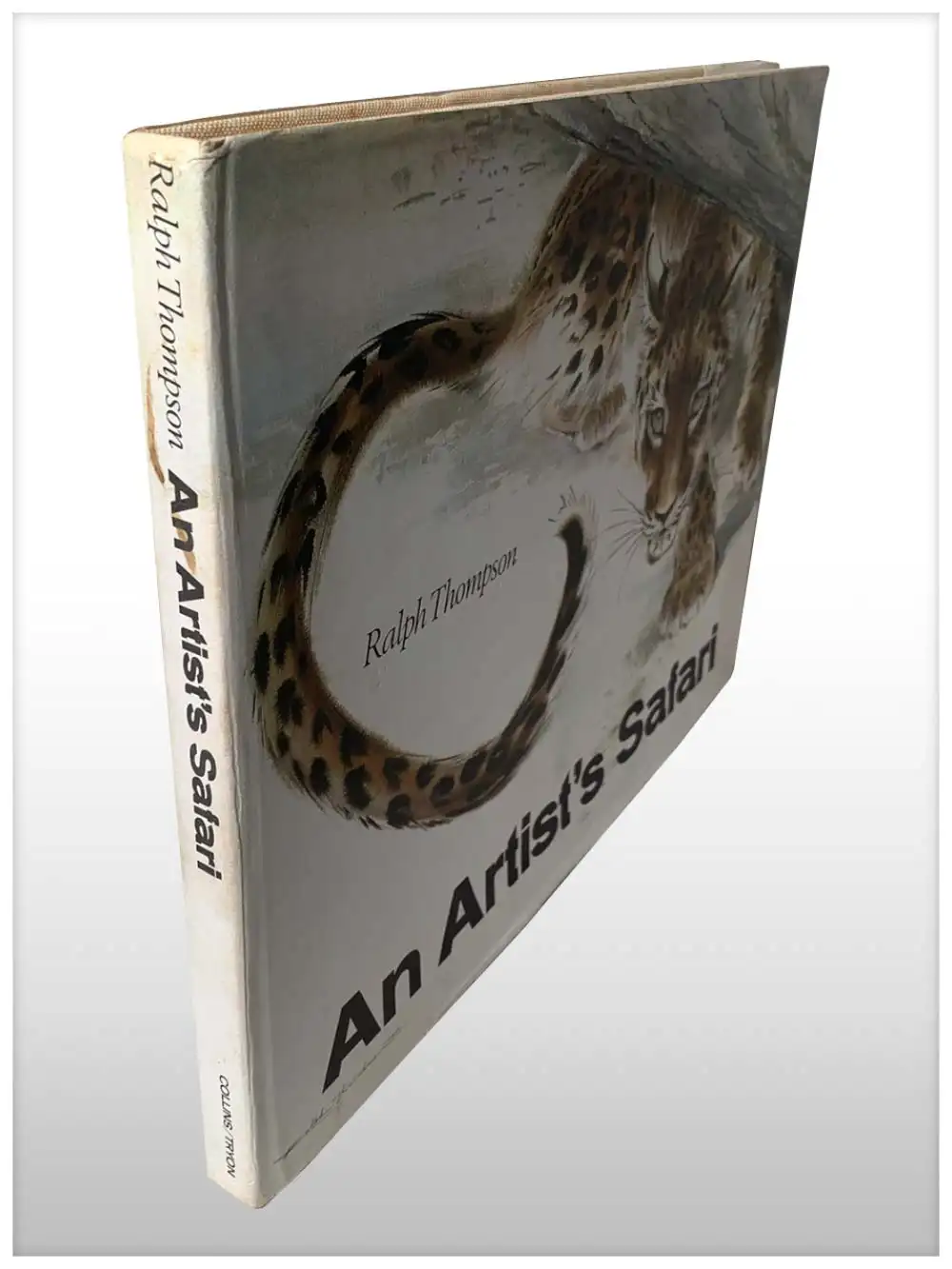 An Artist’s Safari -2825