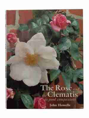 The Rose And The Clematis As Good Companions