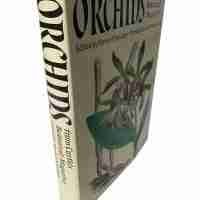 Orchids From Curtis’s Botanical Magazine - Image 2
