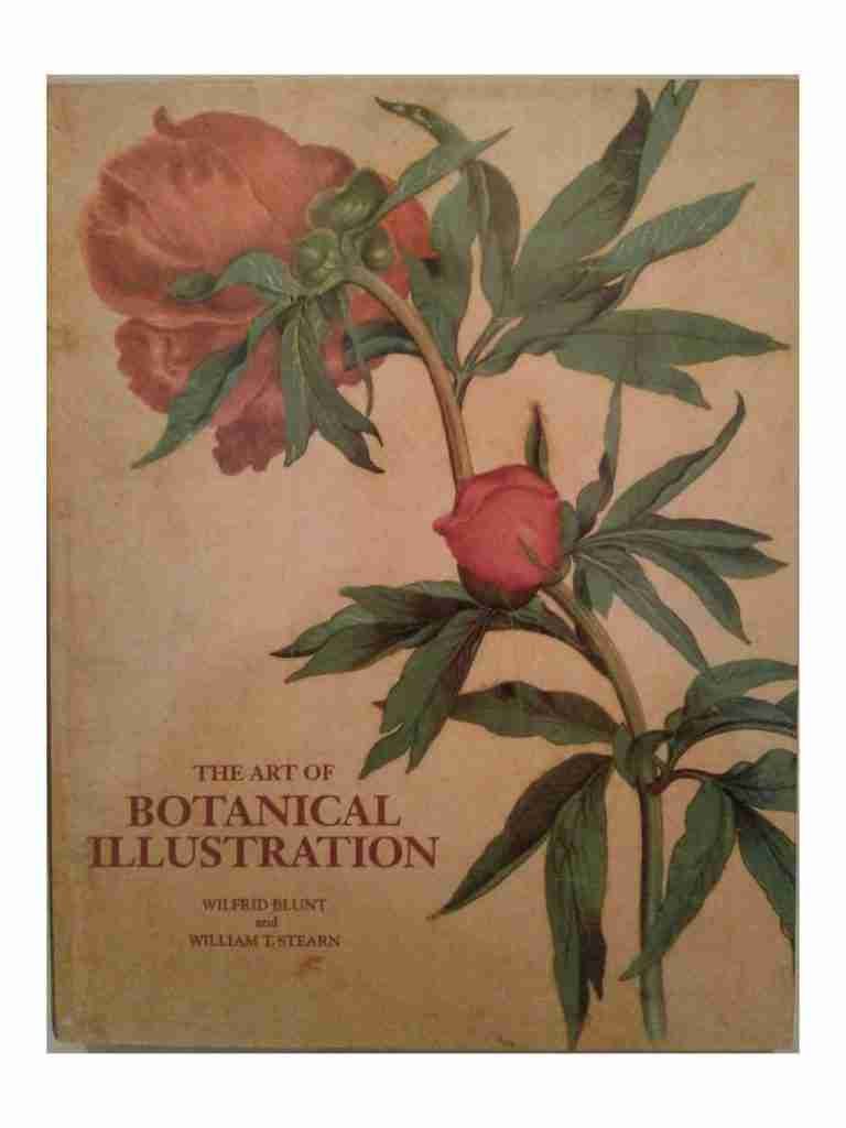 botanical illustration book download