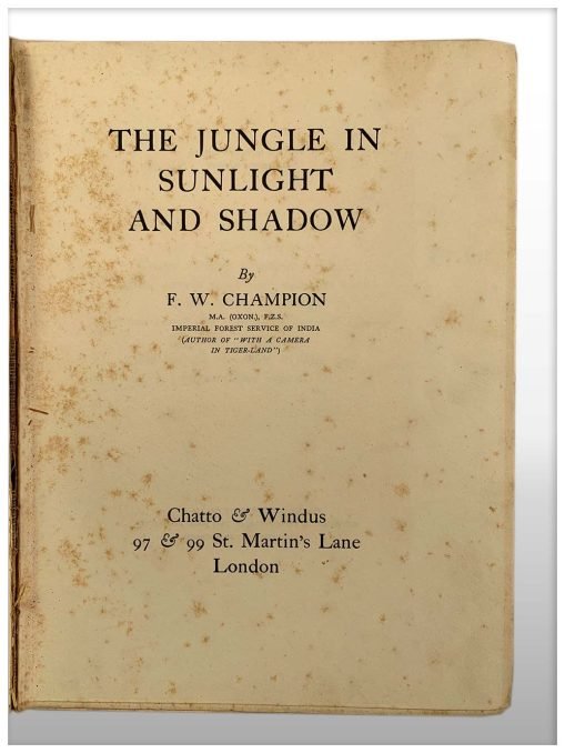 The Jungle in Sunlight and Shadow