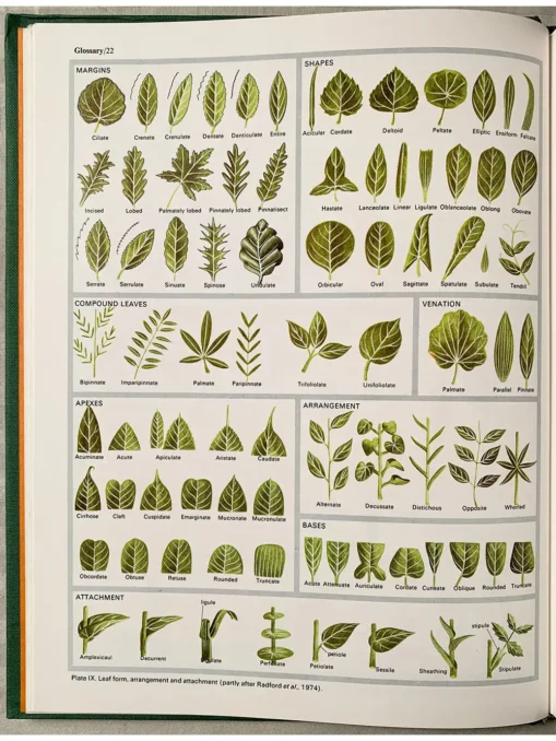 Flowering Plants Of The World