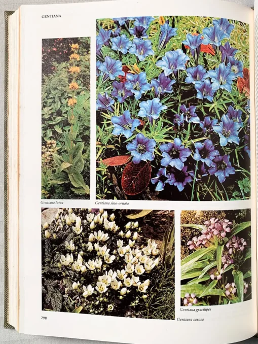 Reader’s Digest Encyclopedia Of Garden Plants And Flowers