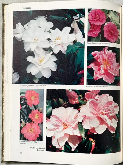 Reader’s Digest Encyclopedia Of Garden Plants And Flowers