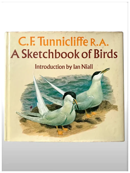 A Sketchbook Of Birds