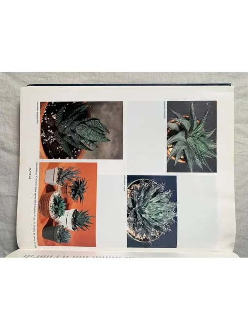 Foliage Plants For Decorating Indoors Plants, Design…Gardens