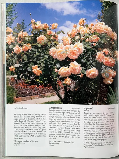 The Ultimate Rose Book, 1500…Popularity