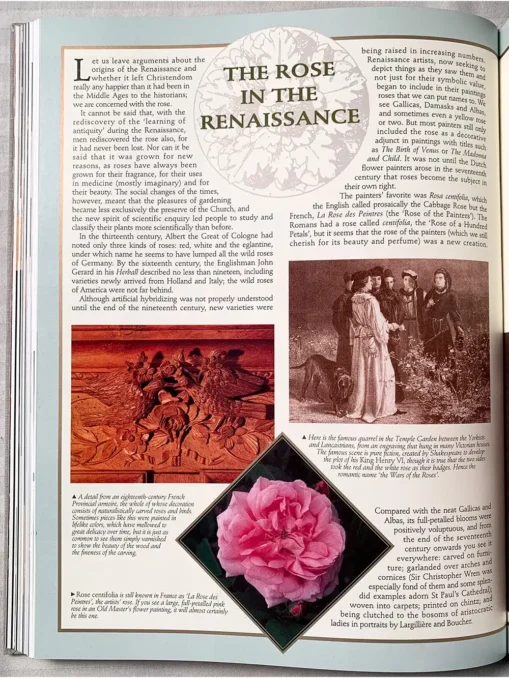 The Ultimate Rose Book, 1500…Popularity