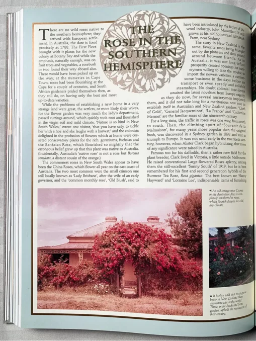 The Ultimate Rose Book, 1500…Popularity