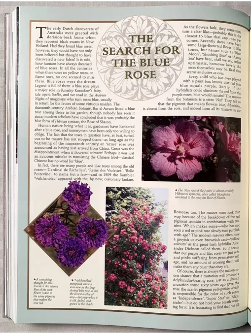 The Ultimate Rose Book, 1500…Popularity