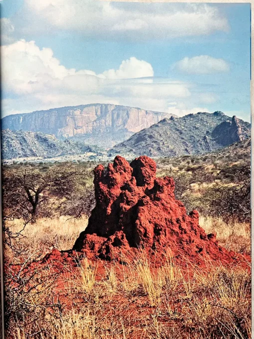 They Live In Africa Nature’s Paradise