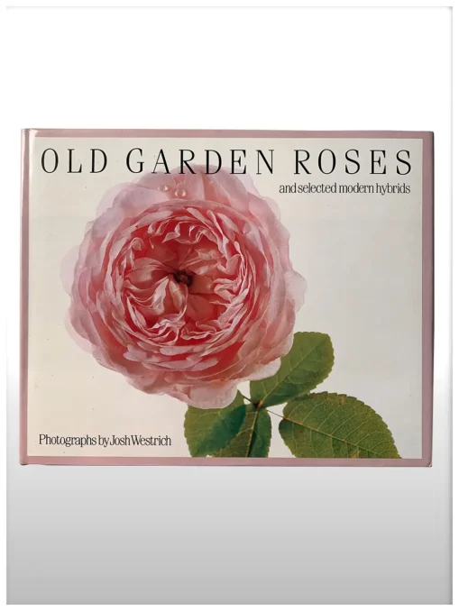 Old Garden Roses And Selected Modern Hybrids