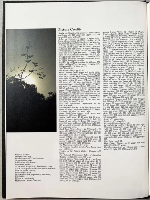 Animalwatching A Field Guide To Animal Behaviour