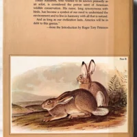 The art of Audubon the complete birds and mammals