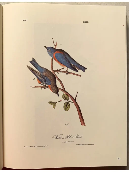 The art of Audubon the complete birds and mammals