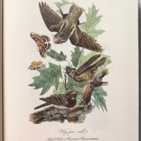 The art of Audubon the complete birds and mammals