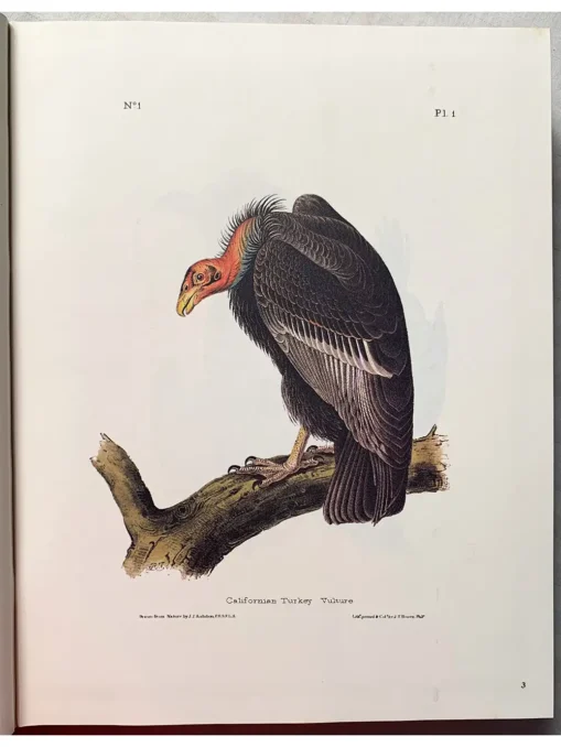 The art of Audubon the complete birds and mammals
