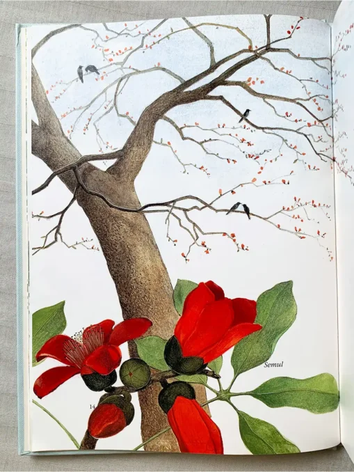 Nature Watch