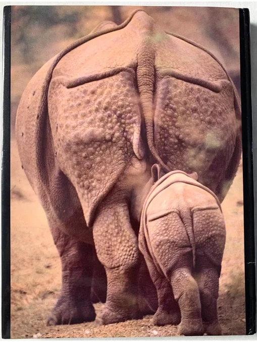 Indian Wildlife