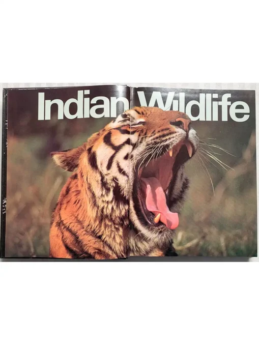 Indian Wildlife