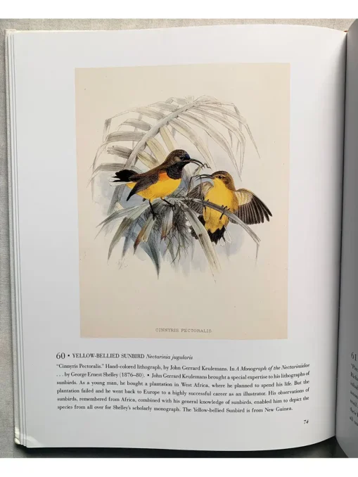 The Bird Illustrated 1550-1900 From The Collections Of The New York Public Library