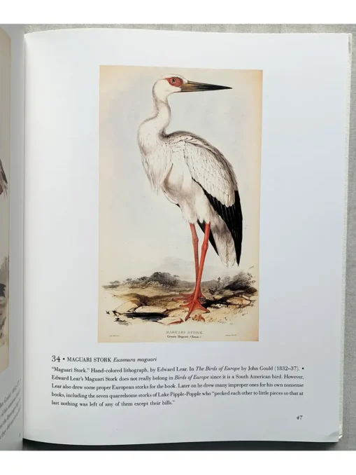 The Bird Illustrated 1550-1900 From The Collections Of The New York Public Library