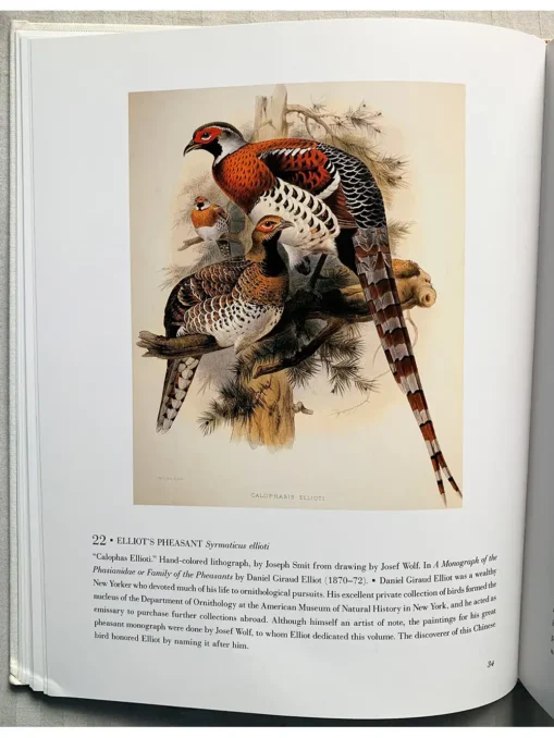 The Bird Illustrated 1550-1900 From The Collections Of The New York Public Library
