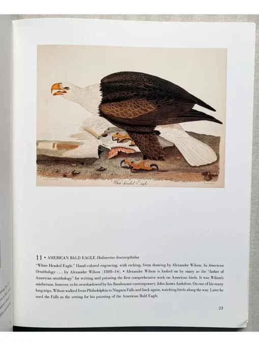 The Bird Illustrated 1550-1900 From The Collections Of The New York Public Library