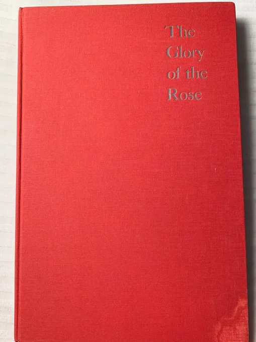 The Glory Of The Rose